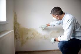 Asbestos and Lead Testing During Mold Inspection in Woodbridge, CA